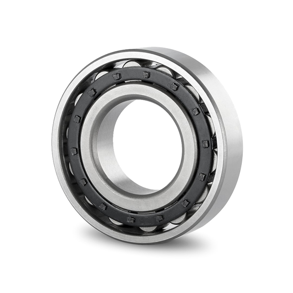 Single-row cylindrical roller bearing